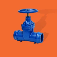 Cast Iron Gate Valve Socket Cast Iron Gate Valve Socket