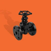 Forged Steel Gate Valve Forged Steel Gate Valve