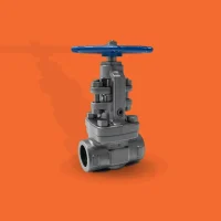 Forged Steel Valves Forged Steel Valves